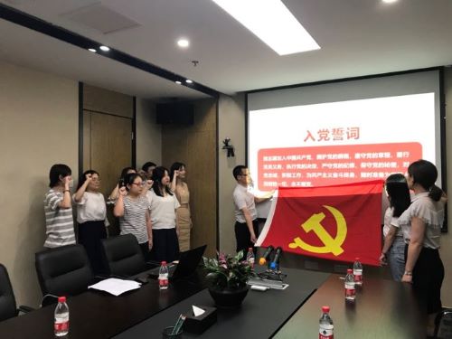 公司第一黨支部、第二黨支部分別召開黨員大會暨“不忘初心，牢記使命”主題教育專題黨員活動日