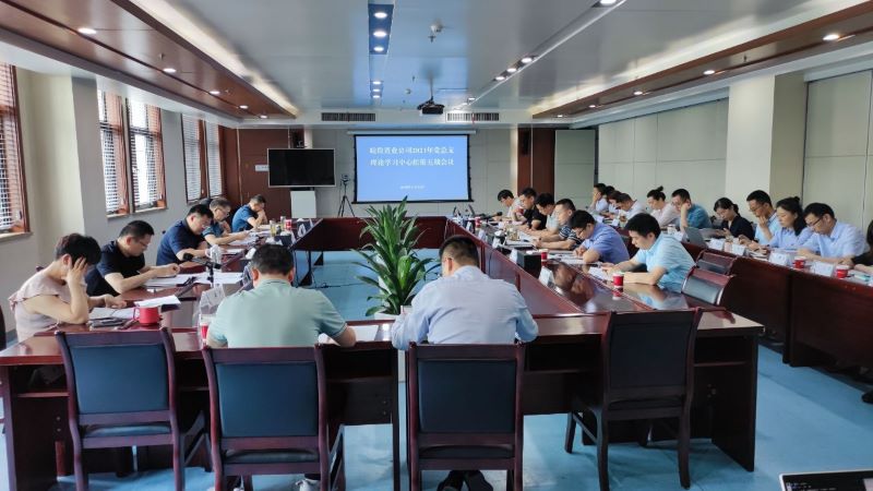 皖投置業(yè)公司召開2021年第五期黨總支中心組學(xué)習(xí)暨黨史讀書班活動(dòng)