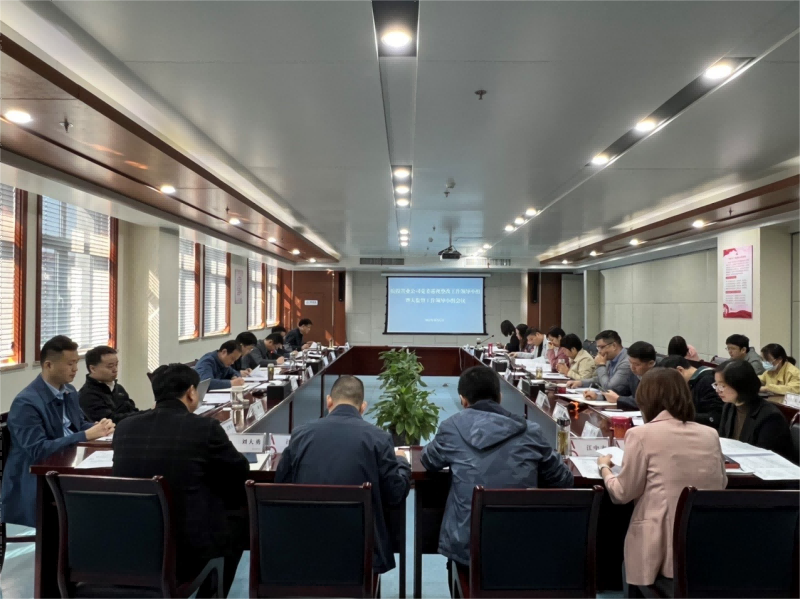 皖投置業(yè)公司召開省委巡視整改工作領(lǐng)導小組暨大監(jiān)督工作領(lǐng)導小組會議